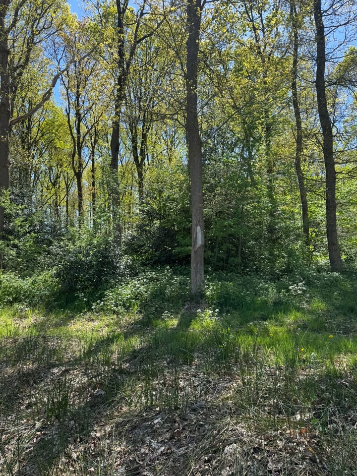 Photo 3 of Veldhuisweg 2-L