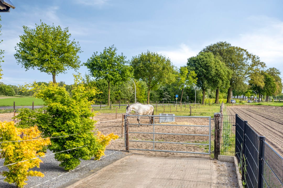 Photo 58 of Eperweg 10