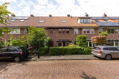 Van Hoornstraat thumbnail