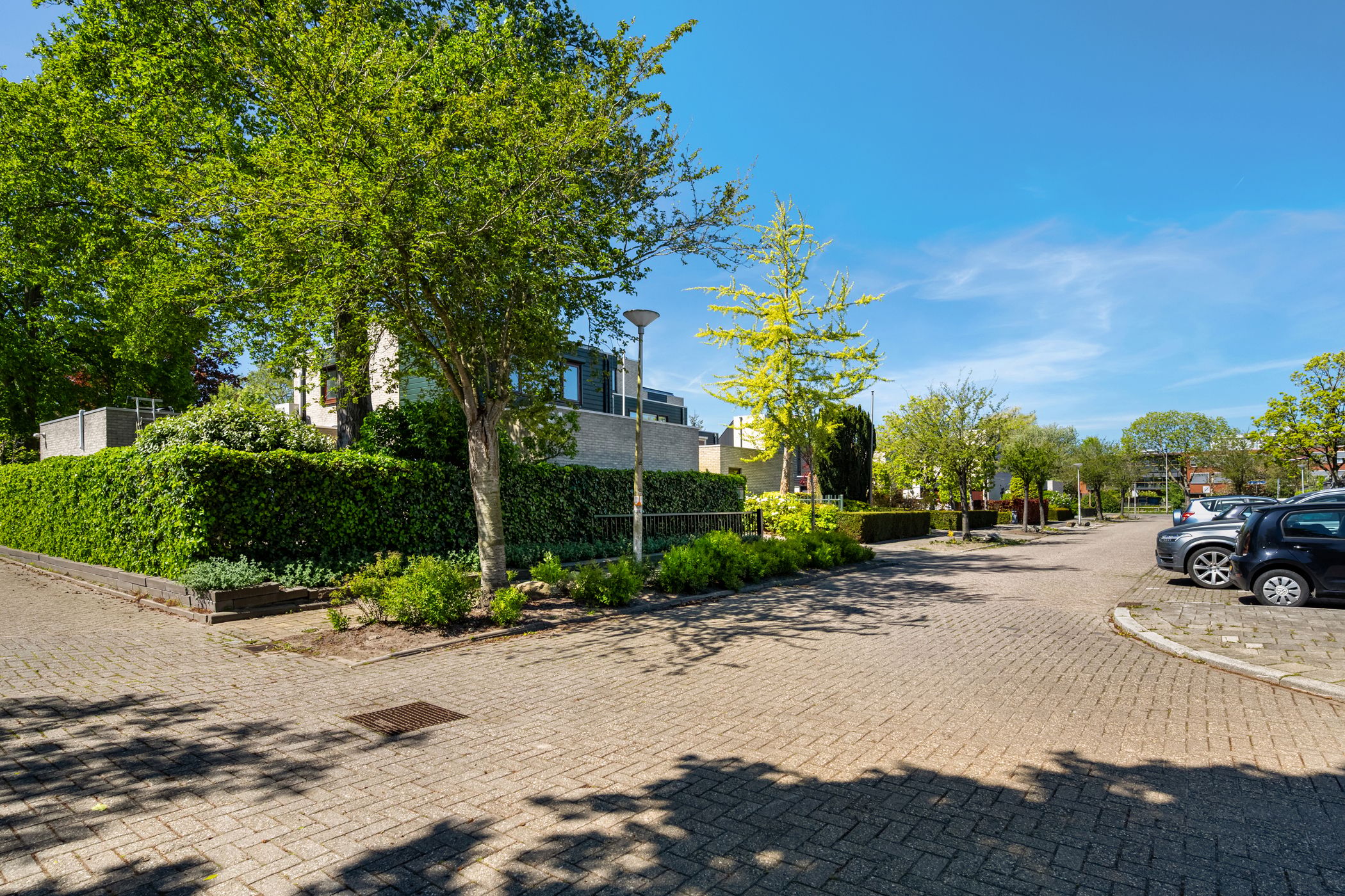 Photo 6 of Van Renesseborch 46