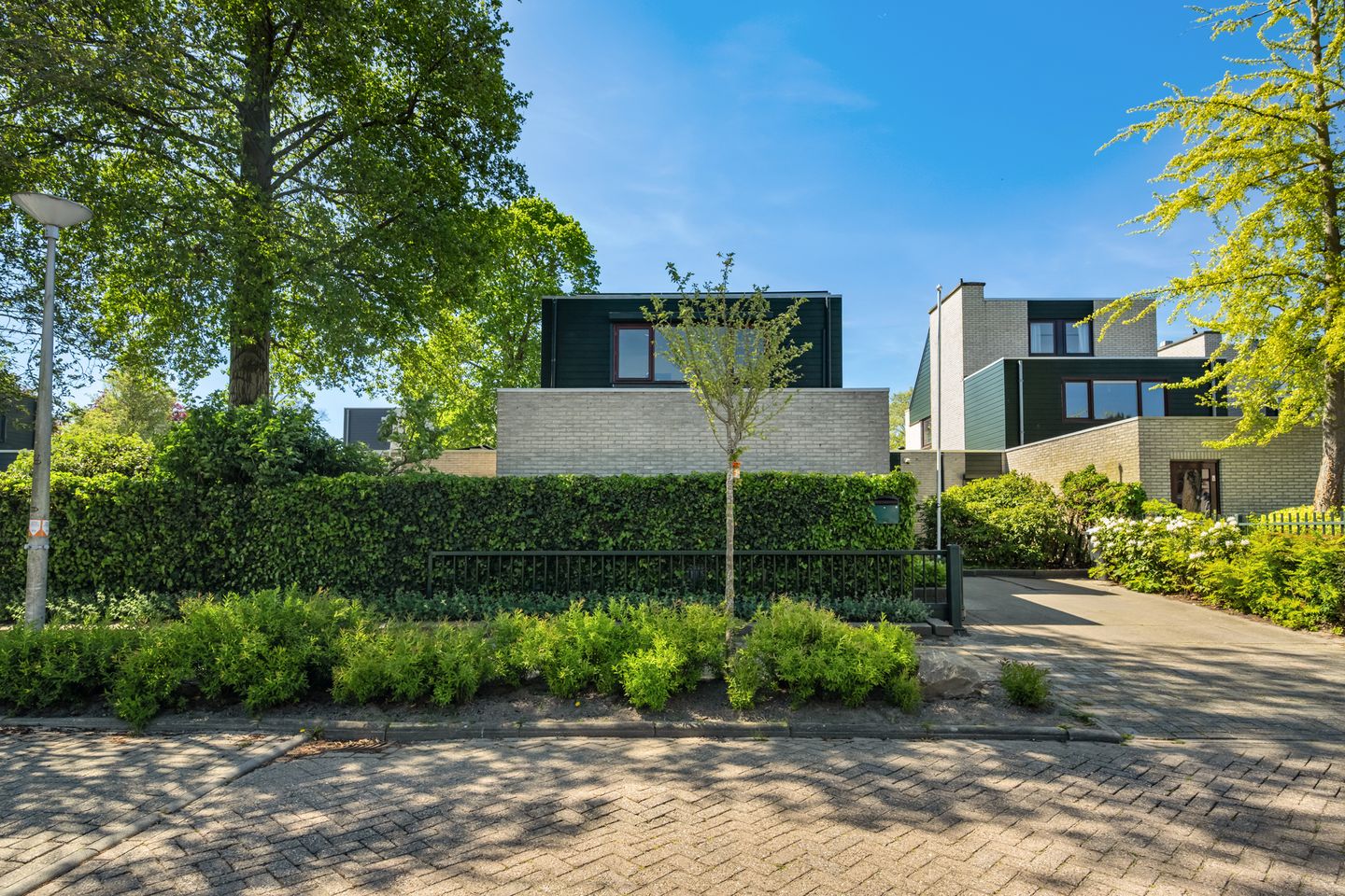 Photo 5 of Van Renesseborch 46