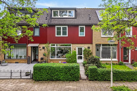 Hofsingel thumbnail
