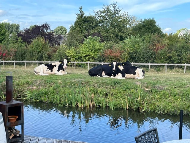 Foto 42 van Uitspanning 11