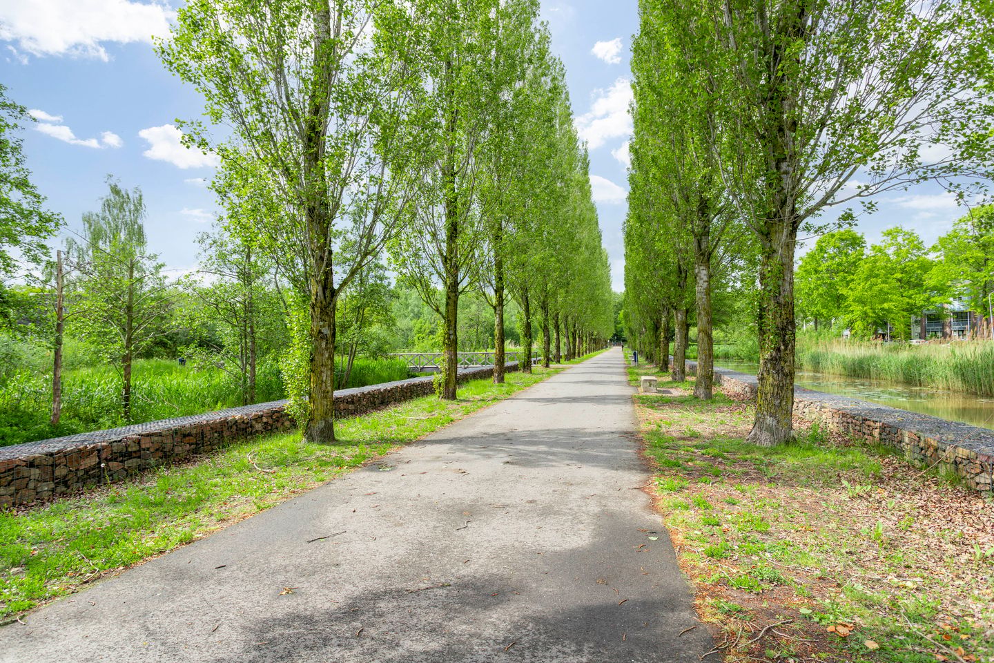 Photo 25 of Heerendonklaan 13