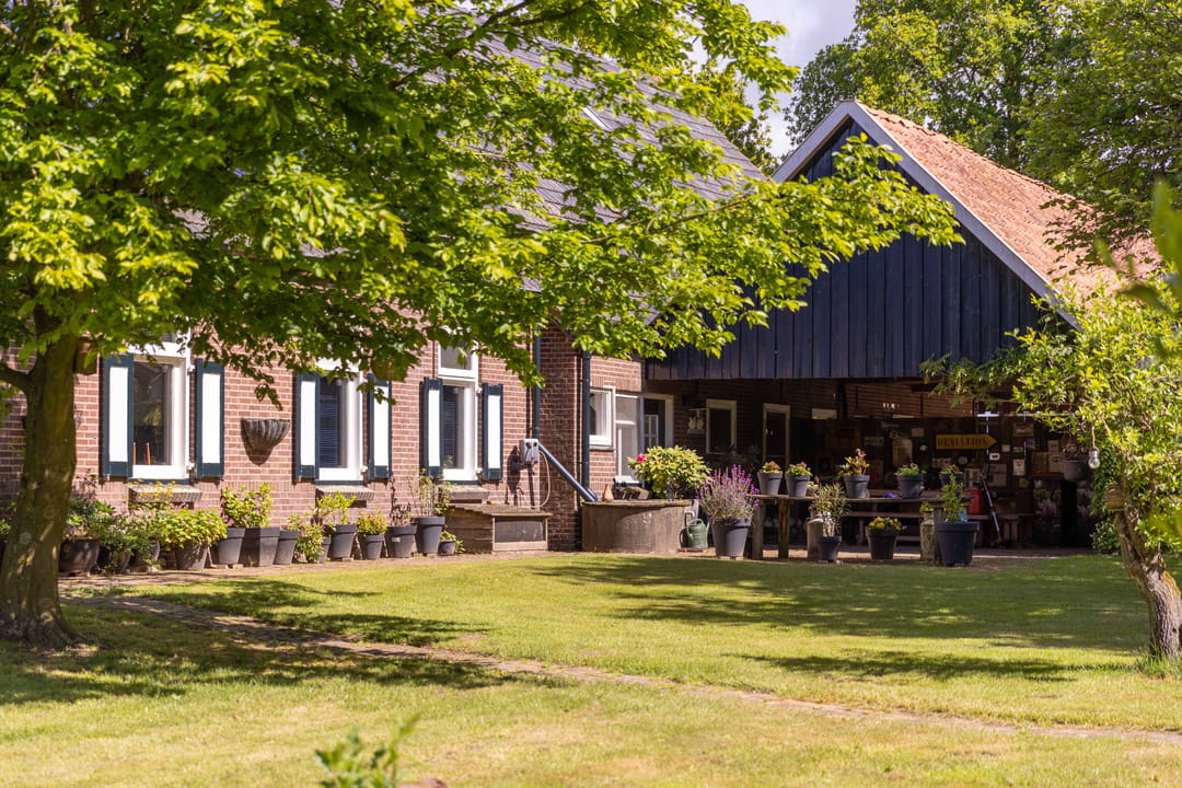 Photo 41 of Landstraat 19