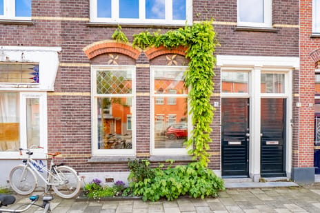 Willem van Noortstraat thumbnail