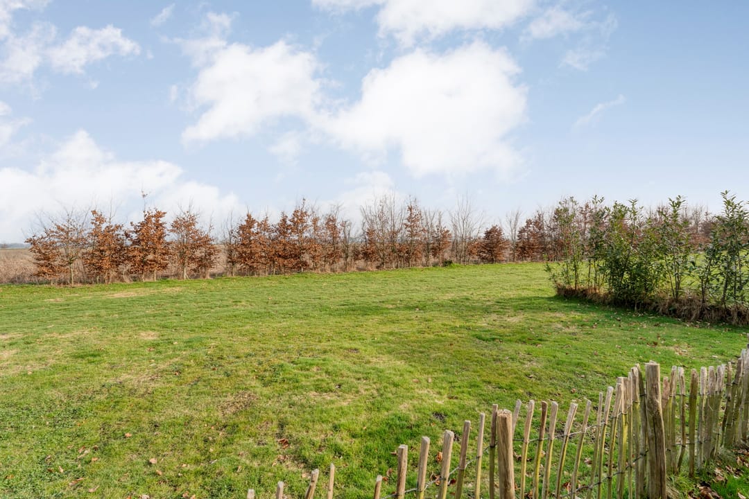 Photo 53 of Tramwijk ZZ 158