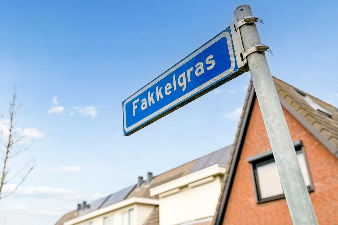 Foto 41 van Fakkelgras 3