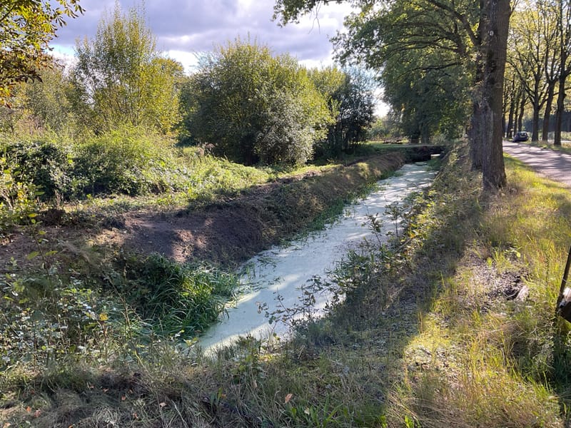 Foto 10 van Zuidveldweg 3