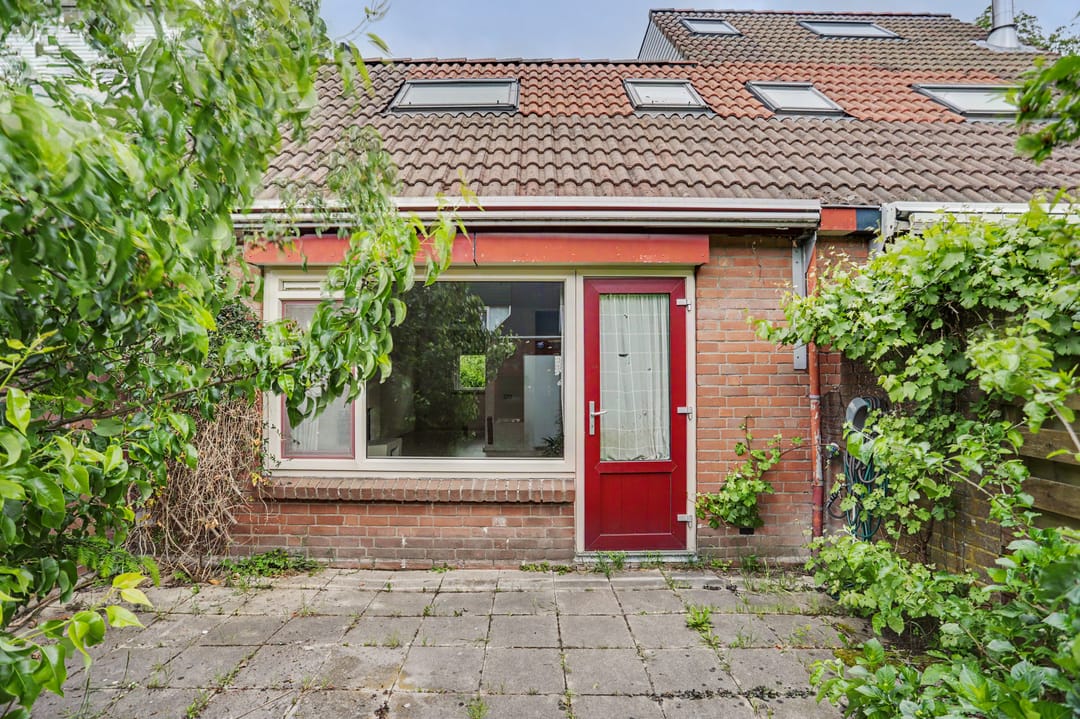 Foto 2 van Witmos 3