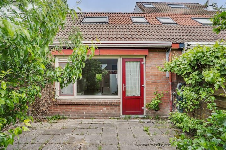 Foto 2 van Witmos 3