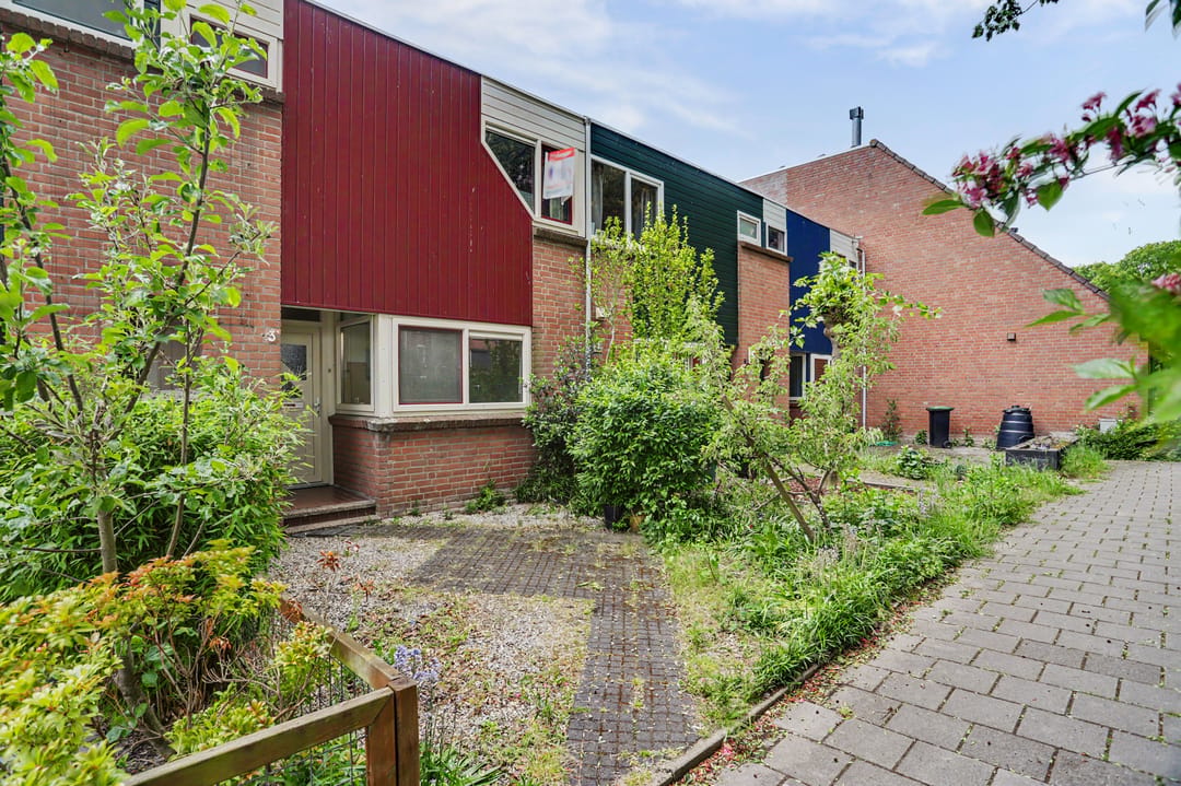 Foto 1 van Witmos 3