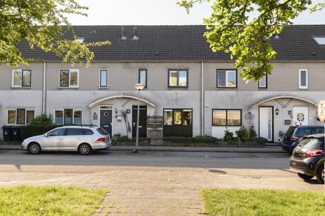 Borchplantsoen thumbnail