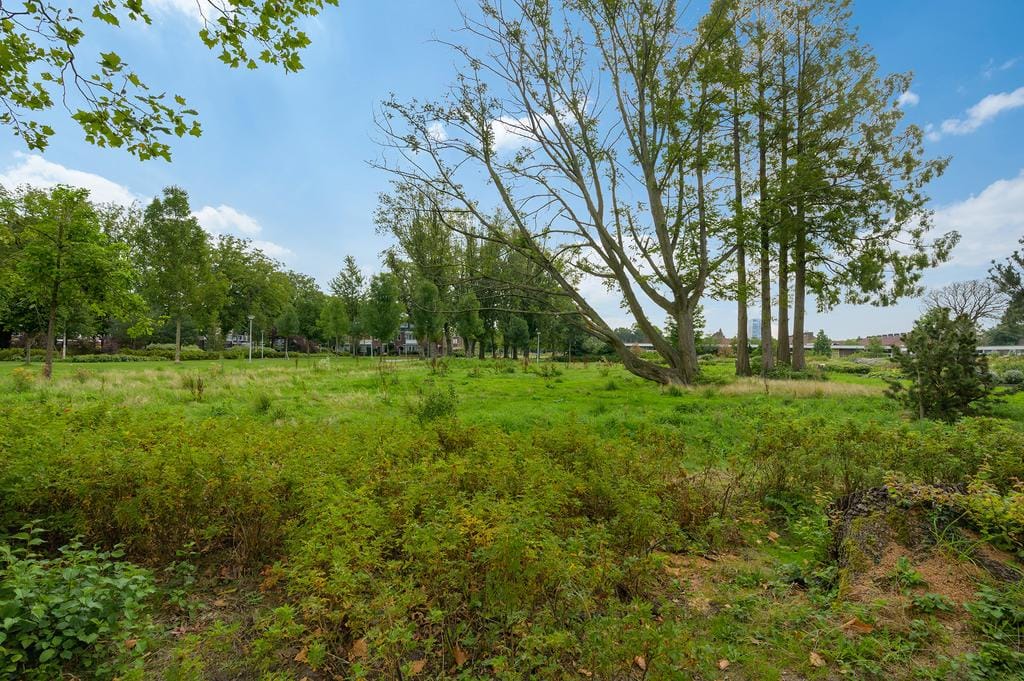 Photo 32 of Burgemeester Eliasstraat 61