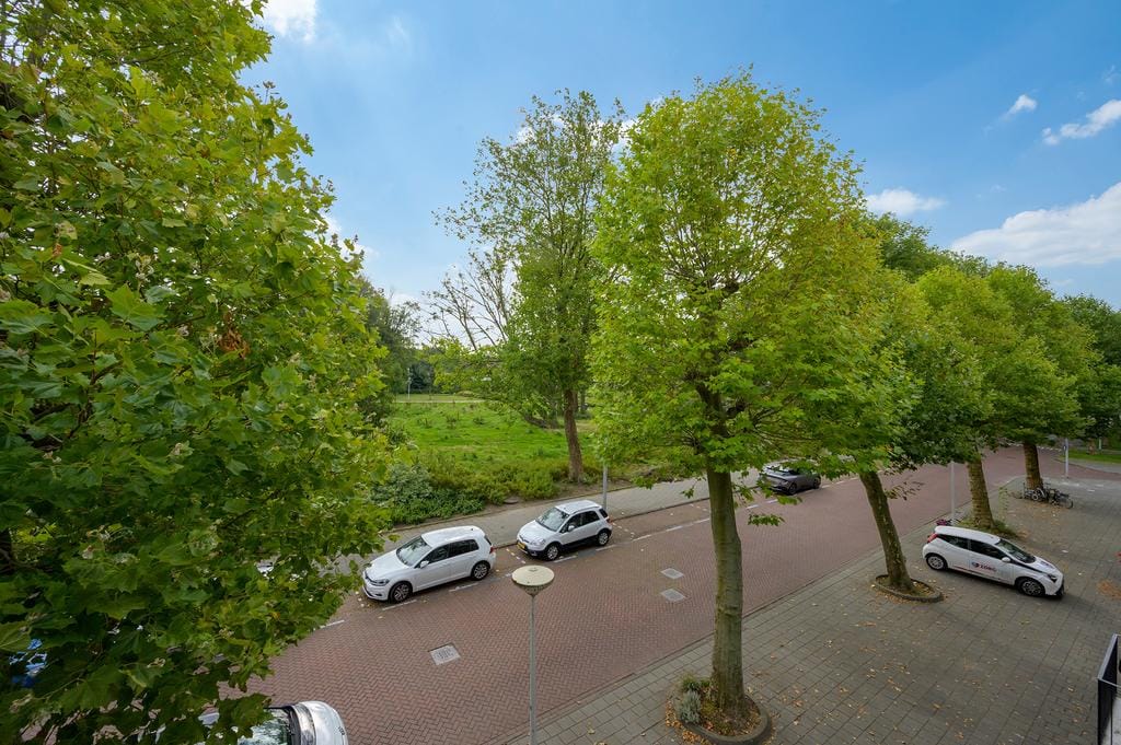 Photo 22 of Burgemeester Eliasstraat 61
