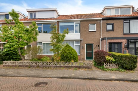 Tulpstraat thumbnail