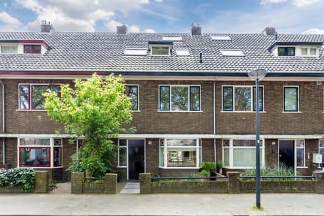 Oranjeboomplein thumbnail