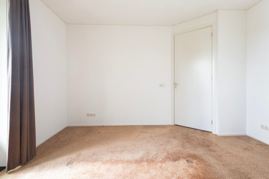 Photo 43 of Bierumerterp 2