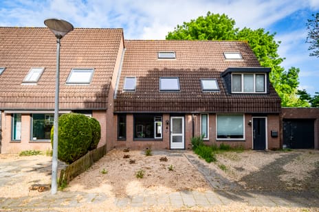 Boekweitveld thumbnail