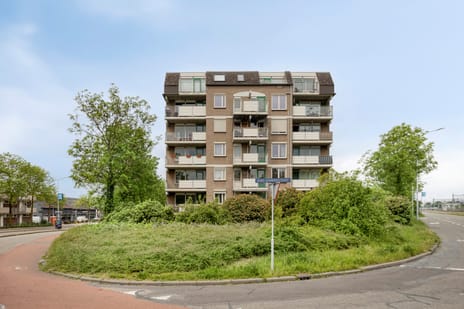 van Laerstraat thumbnail