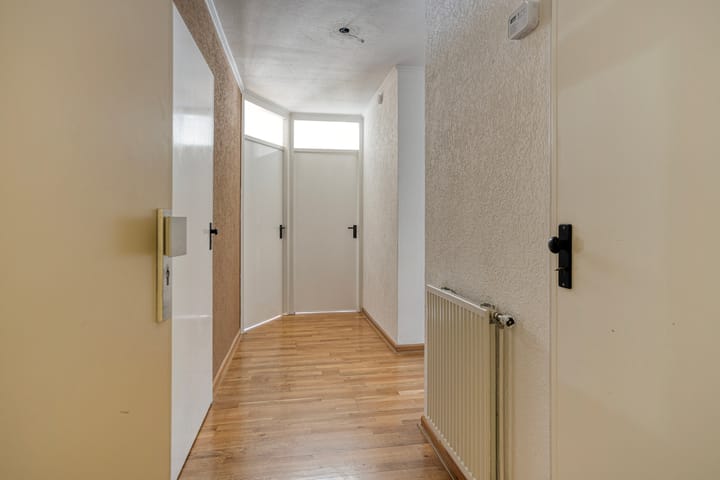 Foto 2 van van Laerstraat 40