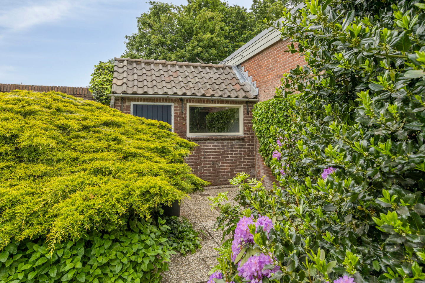 Photo 20 of Hertog Janstraat 4