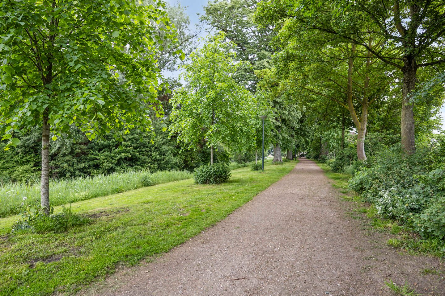 Photo 40 of Hertog Janstraat 4
