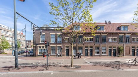 Oranjeboomstraat thumbnail