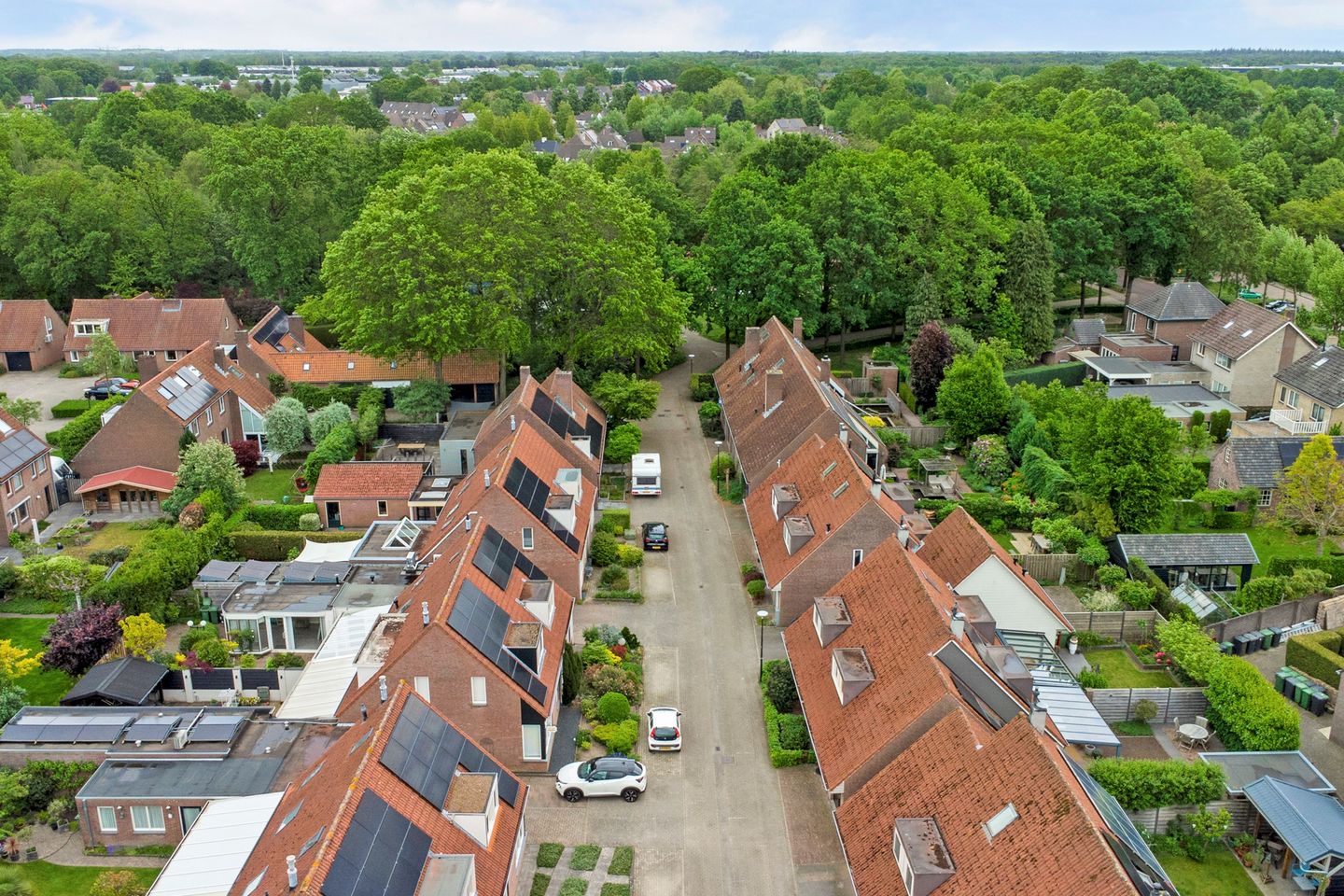 Foto 4 van Mosveld 8
