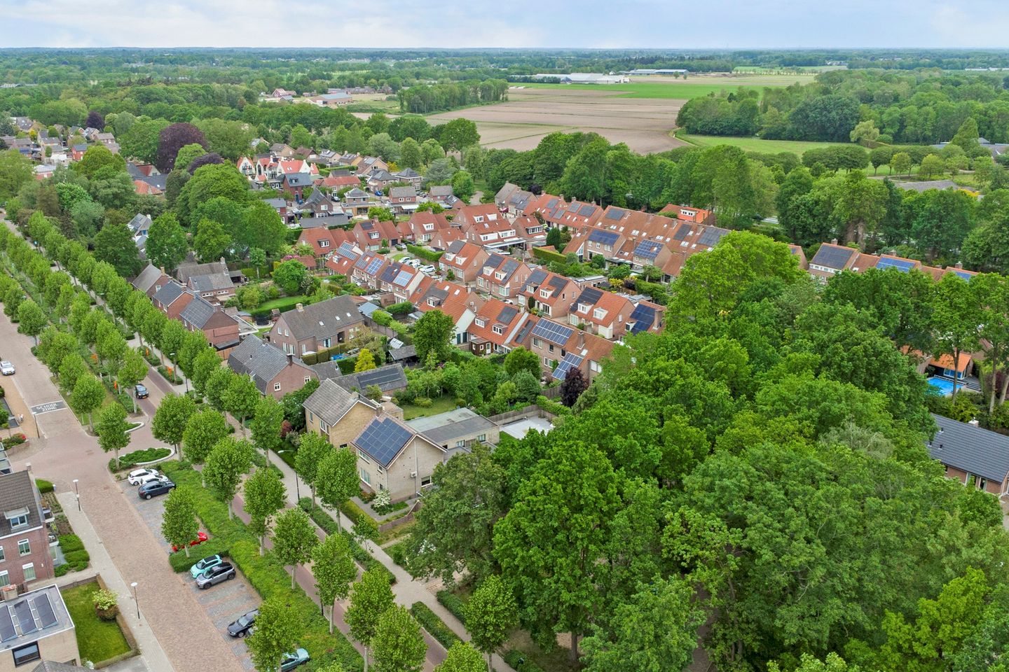 Foto 40 van Mosveld 8