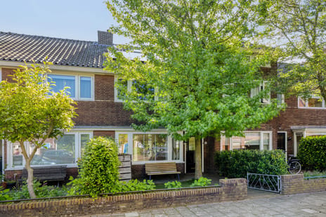 Symon Pelgromstraat thumbnail