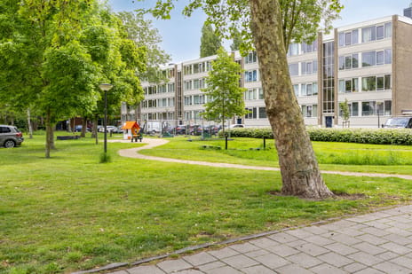 Hugo de Vriesstraat thumbnail