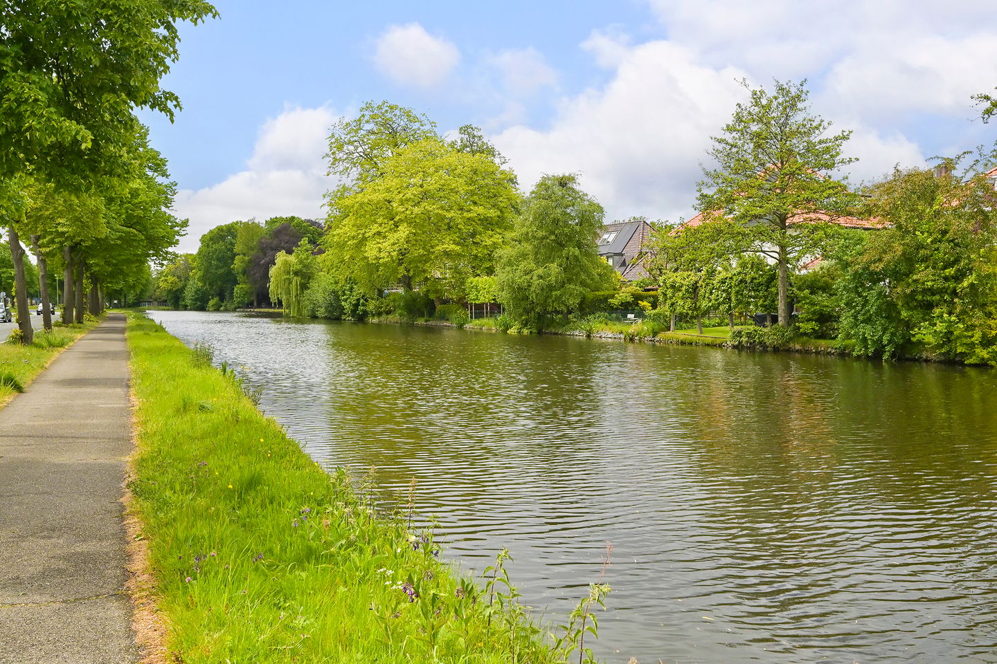Foto 40 van Park Vronesteyn 100