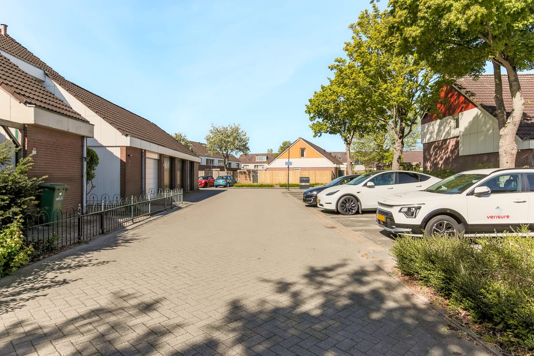 Foto 43 van Punter 20 15