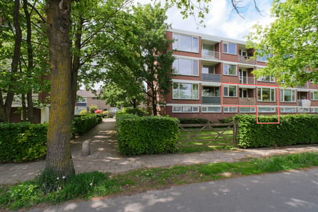 Maasstraat thumbnail