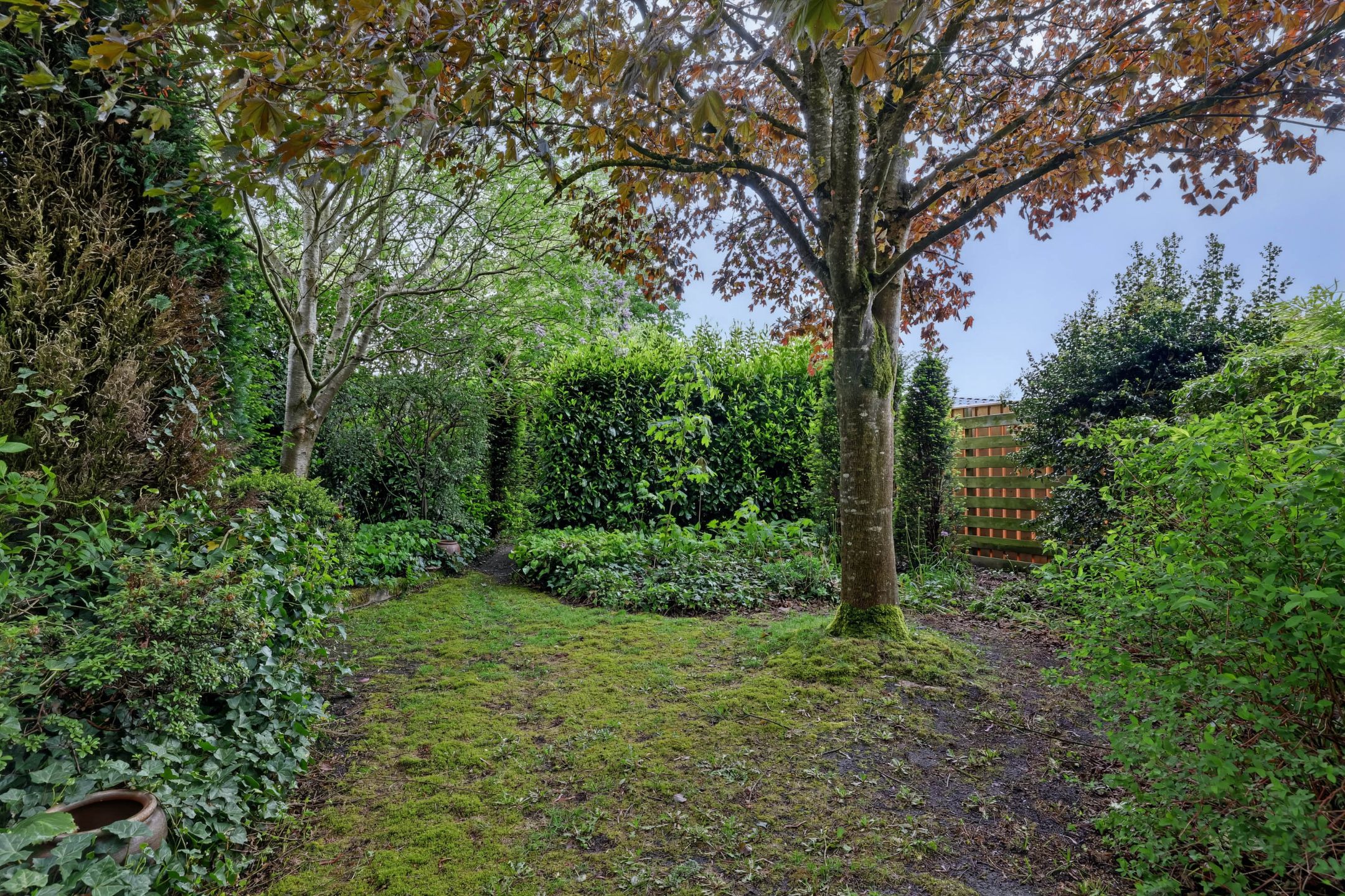 Photo 42 of Berkenstraat 38