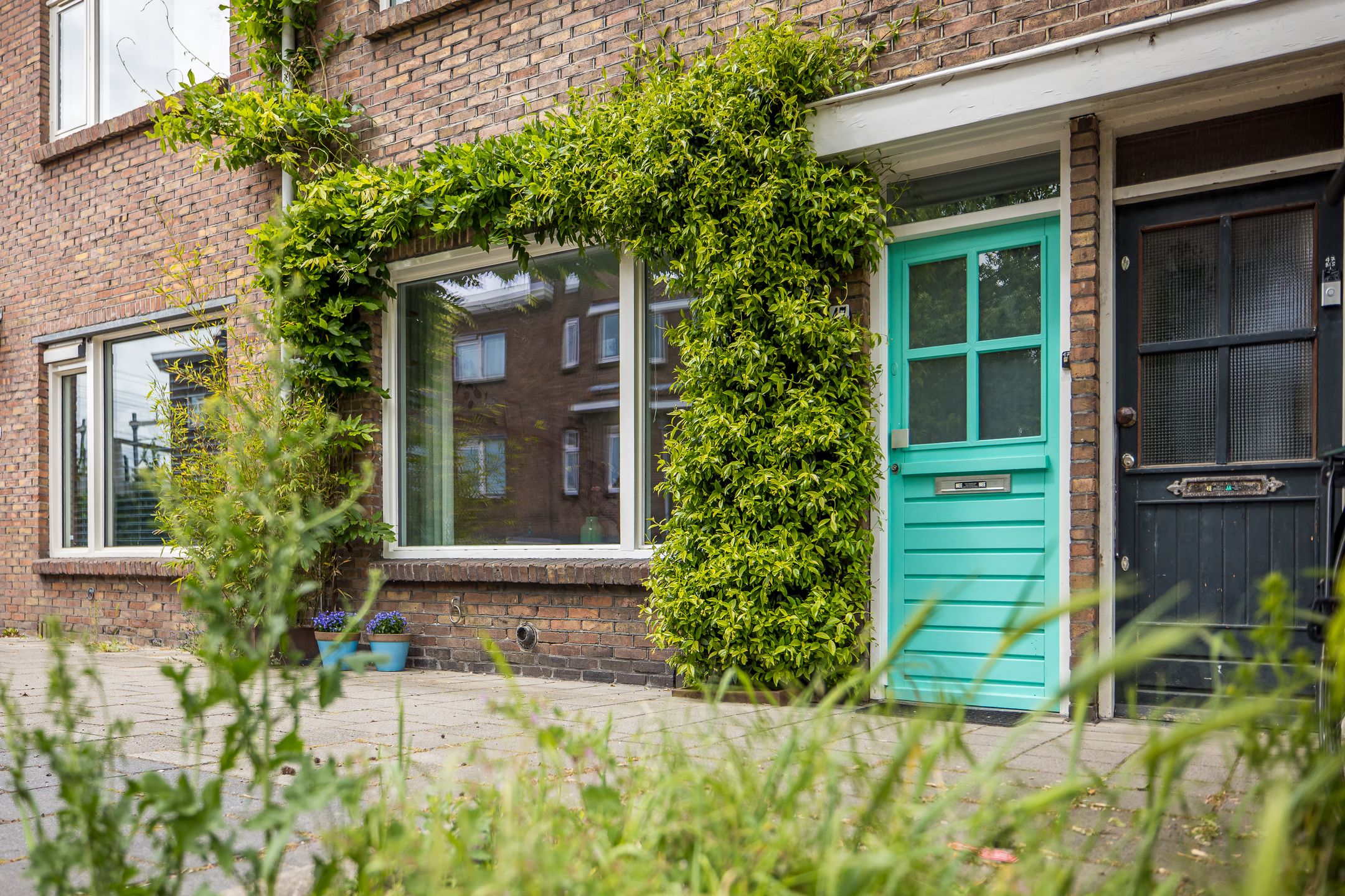 Photo 3 of Albatrosstraat 47