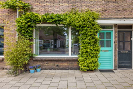 Albatrosstraat thumbnail