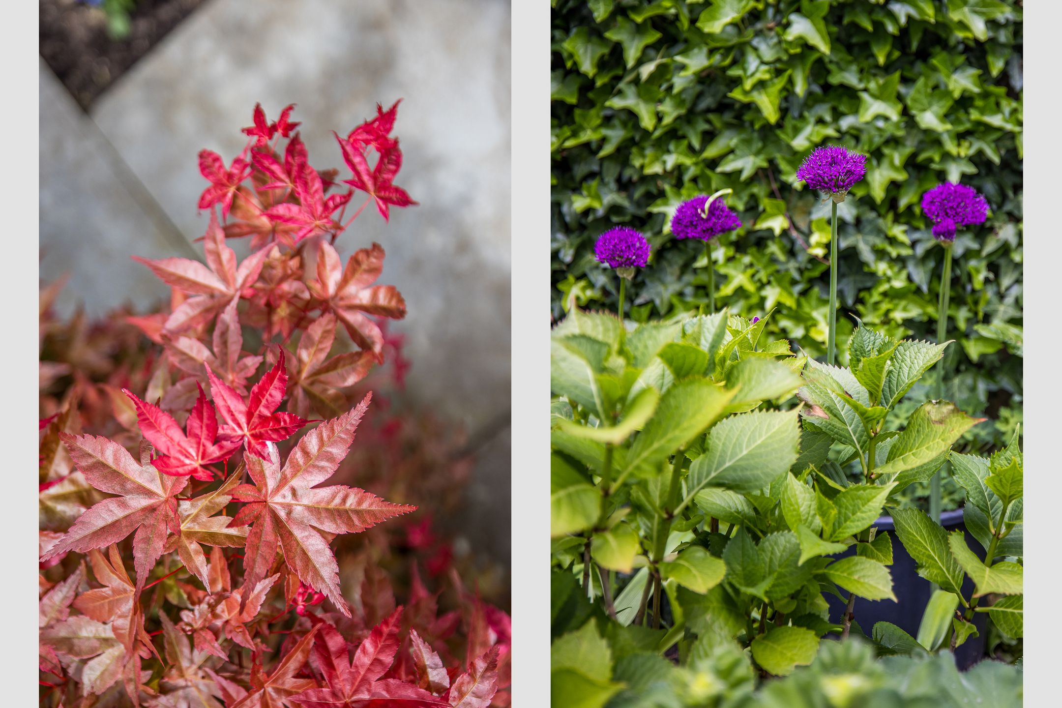 Photo 36 of Albatrosstraat 47