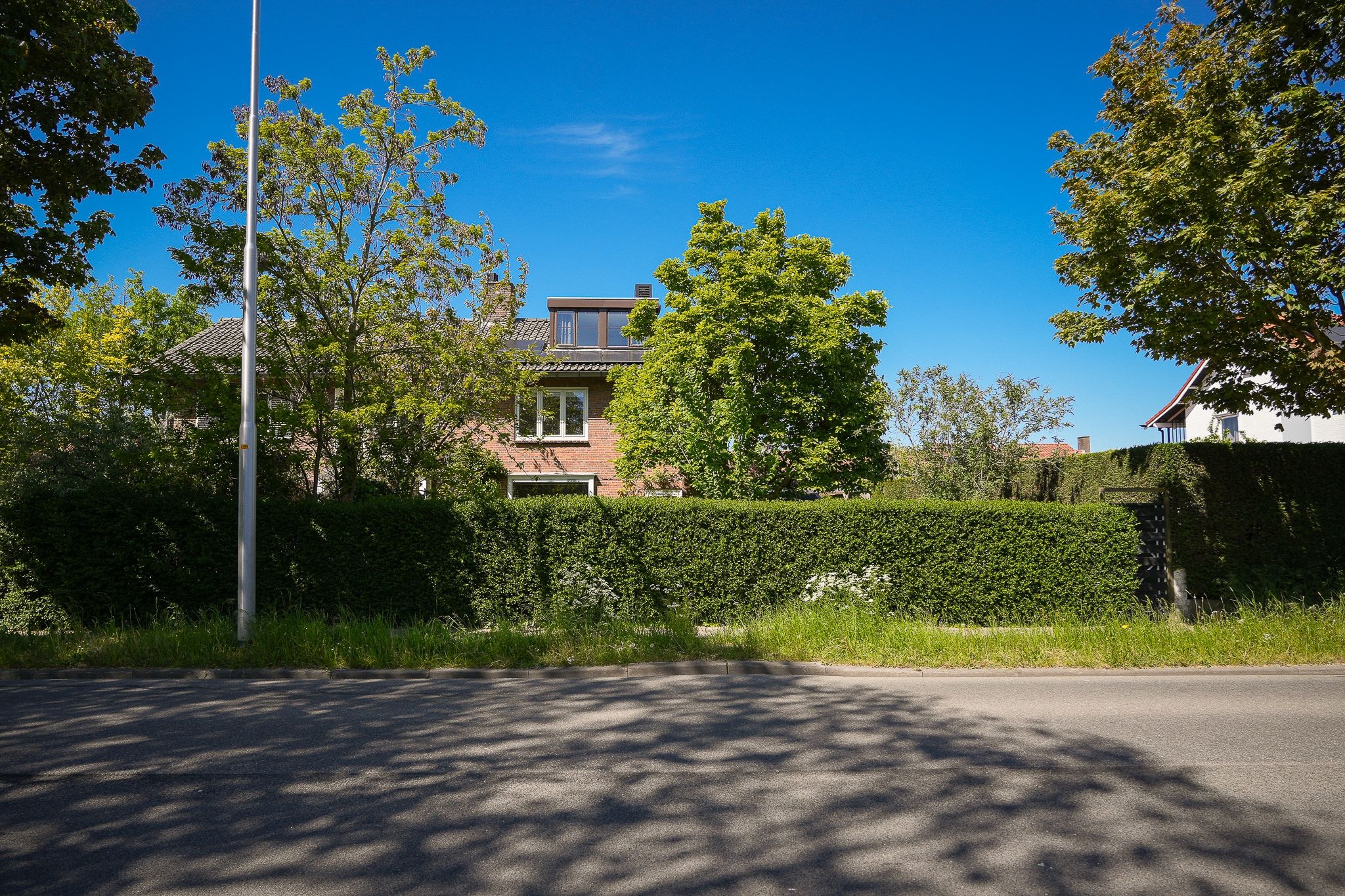 Foto 51 van Weidsteeg 24