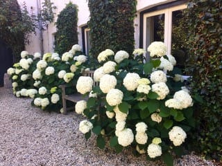 Foto 47 van Rijksweg 89-B