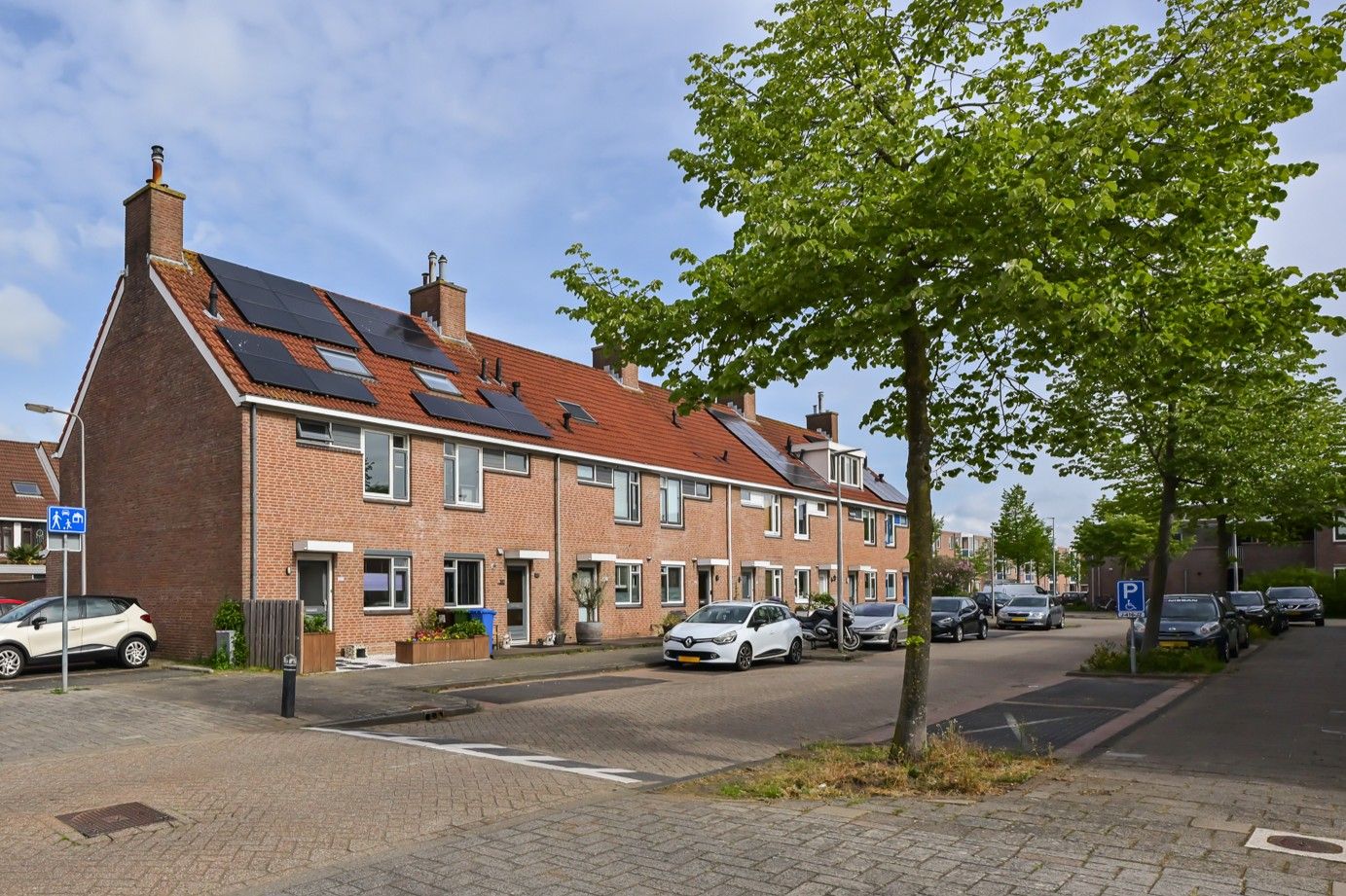 Mandenvlechter 205 