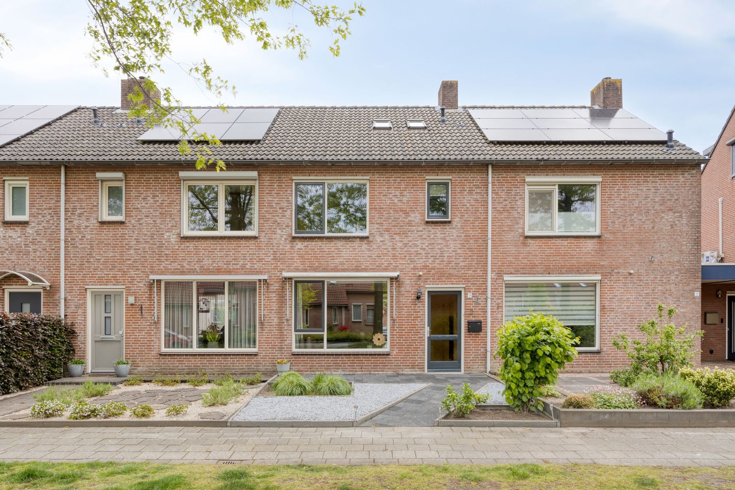 Foto 5 van Houtduif 9