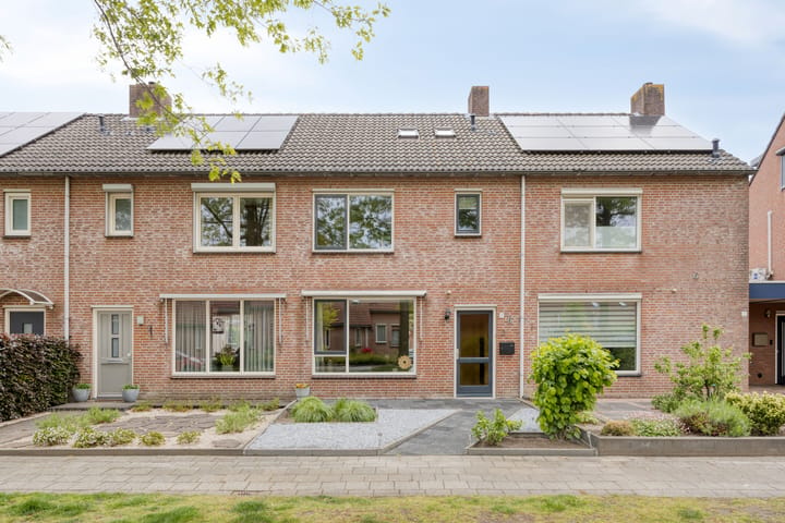 Foto 5 van Houtduif 9