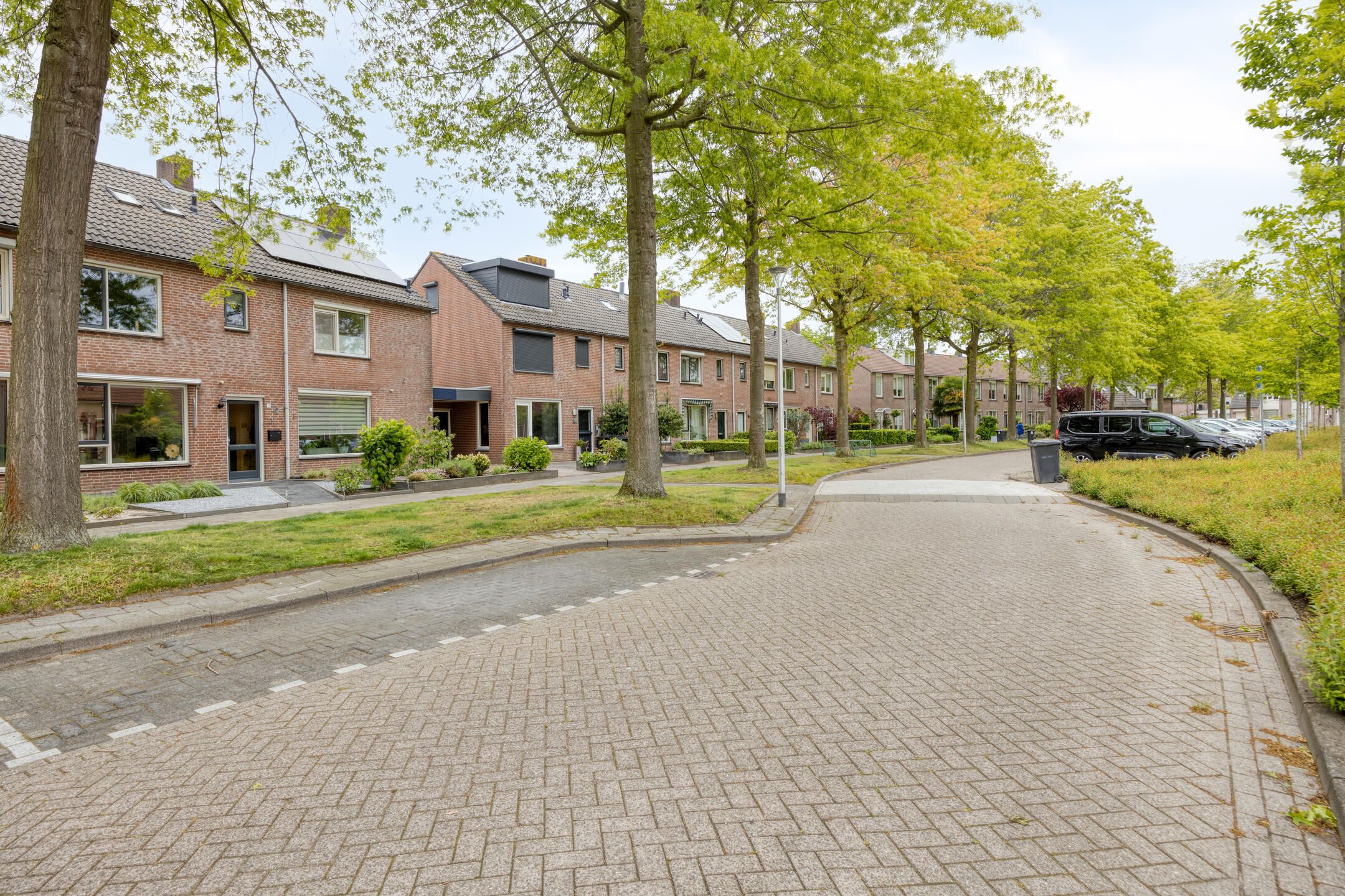 Foto 6 van Houtduif 9