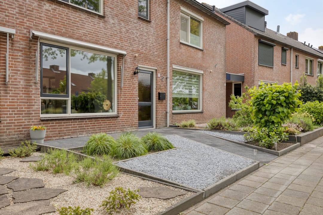 Foto 7 van Houtduif 9