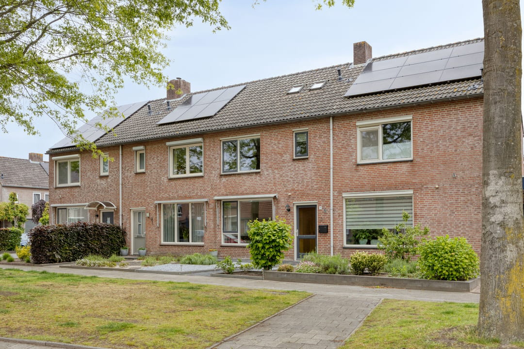 Foto 43 van Houtduif 9