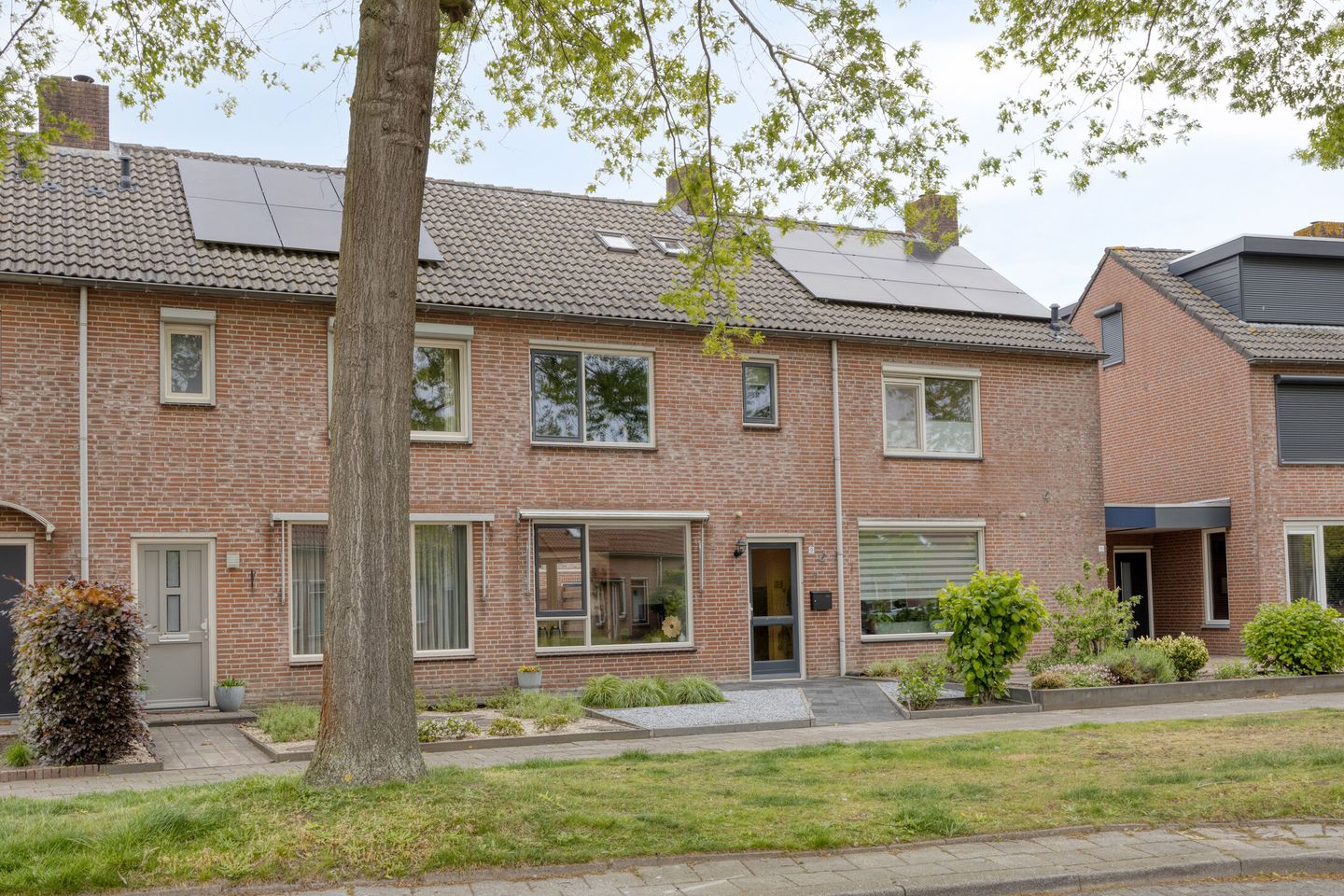 Foto 44 van Houtduif 9
