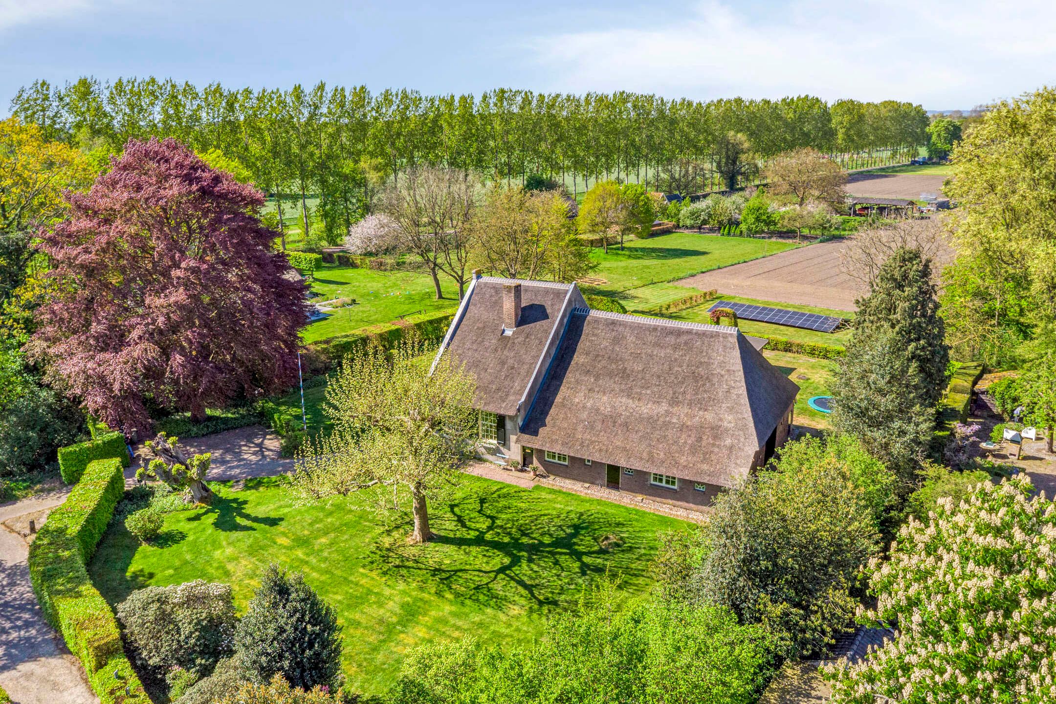 Photo 99 of Emperweg 84