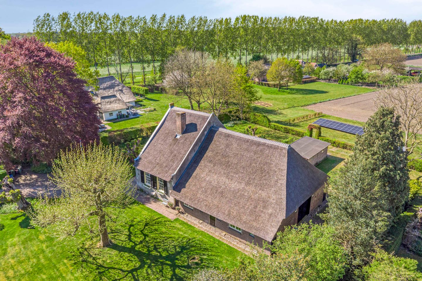 Photo 100 of Emperweg 84